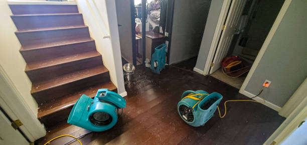 Best Water damage restoration near me  in Tunica, MS