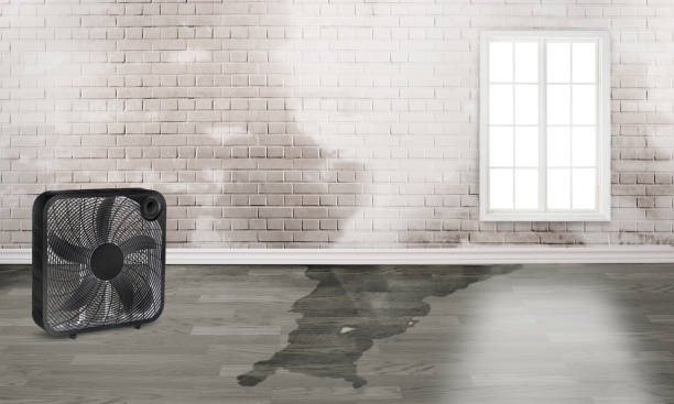 Reliable MS Water damage restoration Solutions
