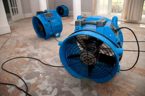 Best 24-hour water damage restoration  in Tunica, MS