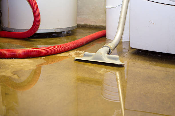 Best Water damage cleanup near me  in Tunica, MS