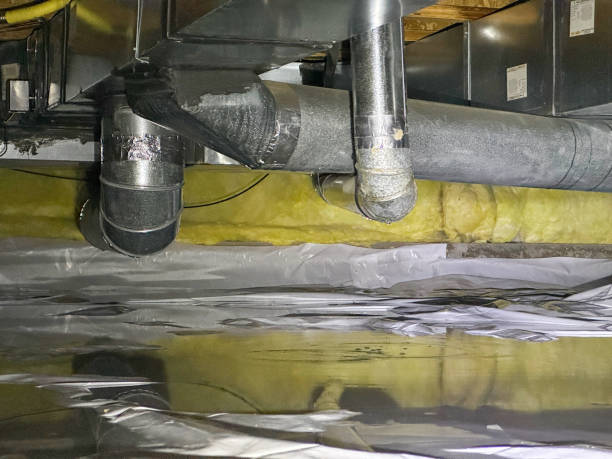 Best 24/7 water damage repair  in Tunica, MS