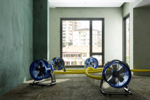 Best Commercial water damage restoration  in Tunica, MS